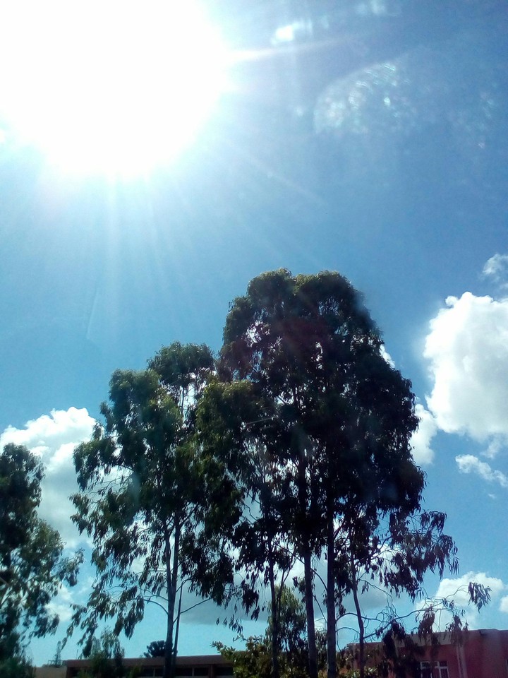 Sunshine