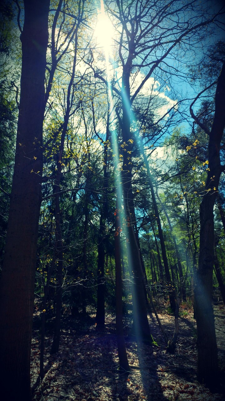 Beam me up