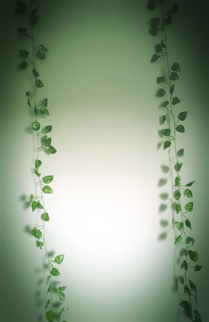 Wall art