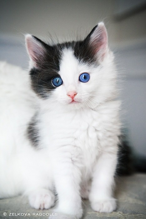 cute