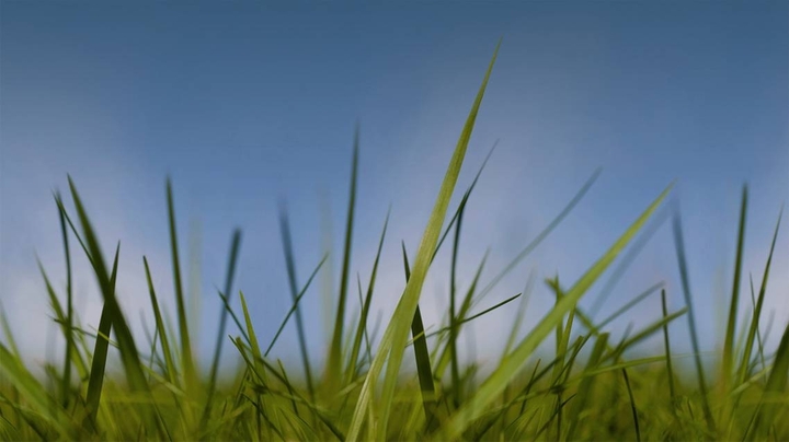 natureza
