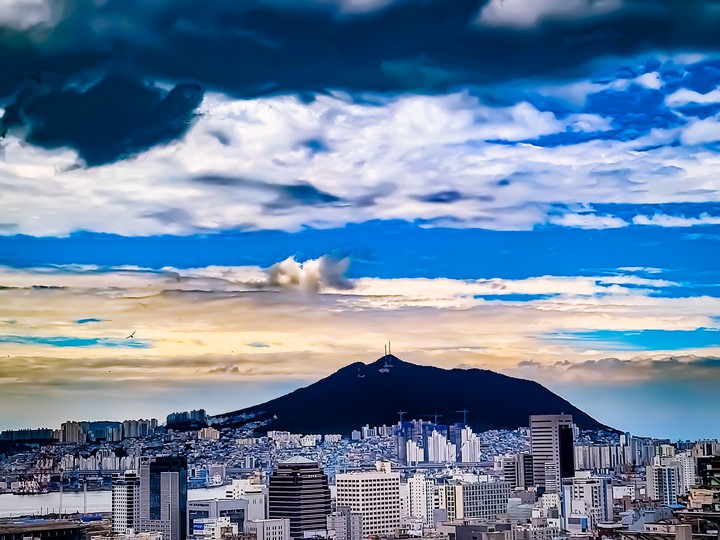 영도