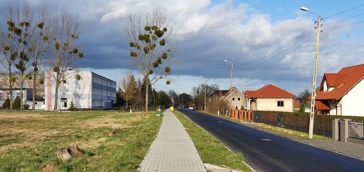 przyroda