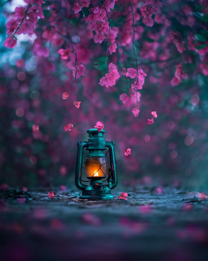 nature