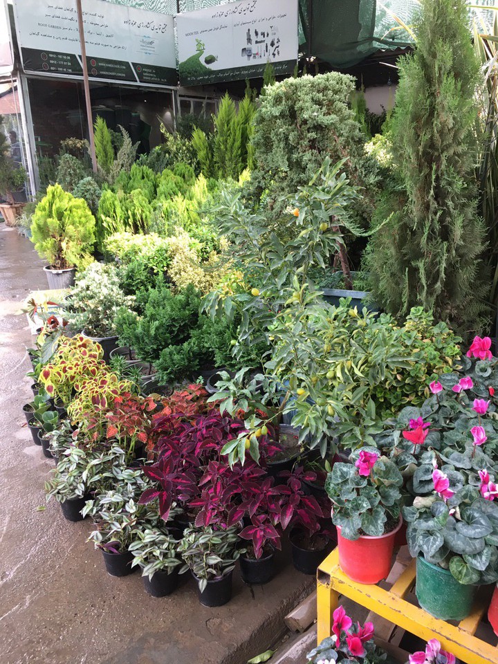 Florist