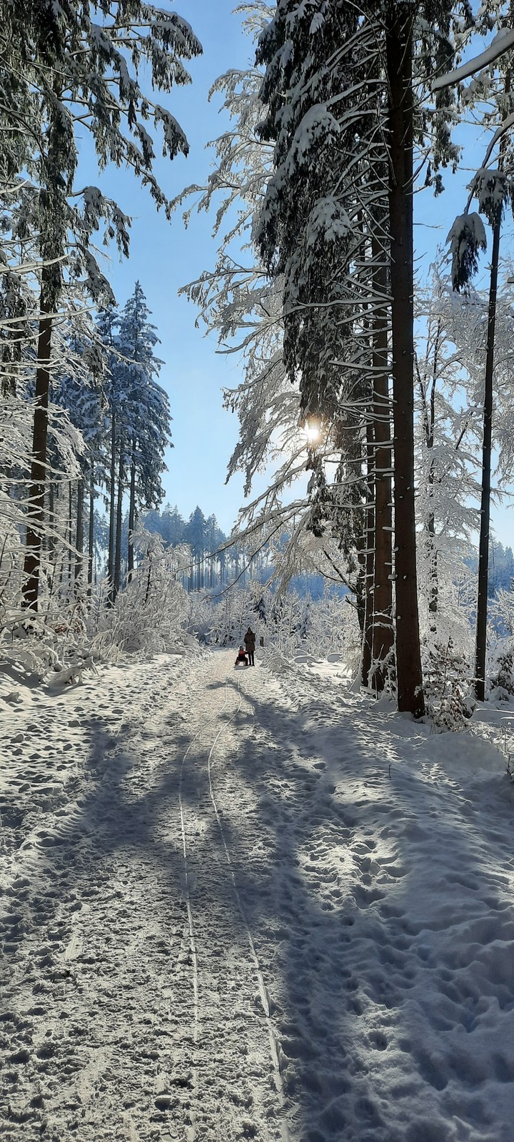 Winterwanderung