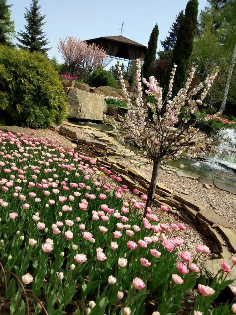Spring