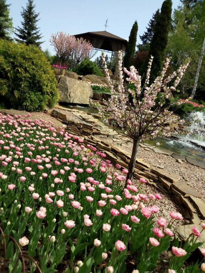 Spring