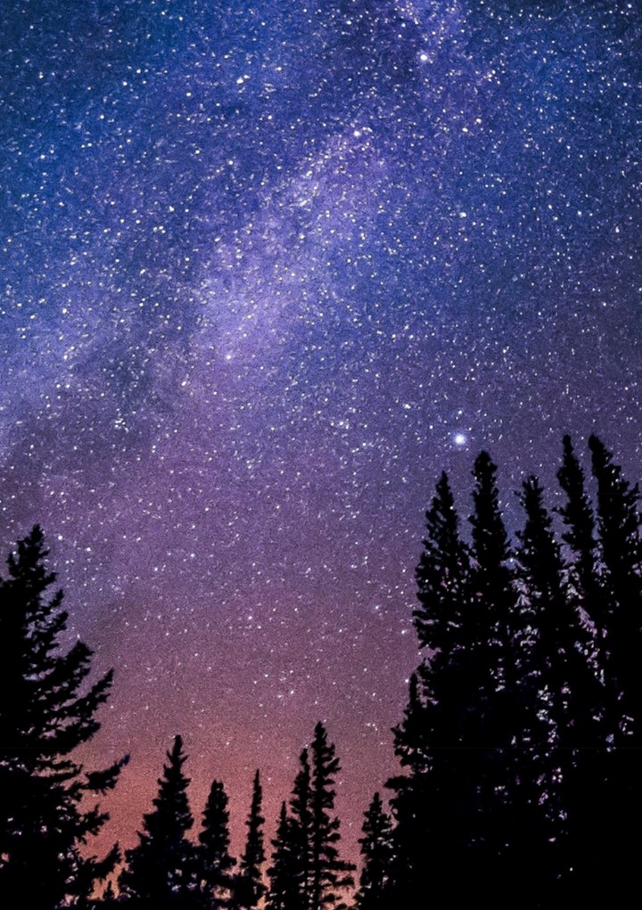 forest sky