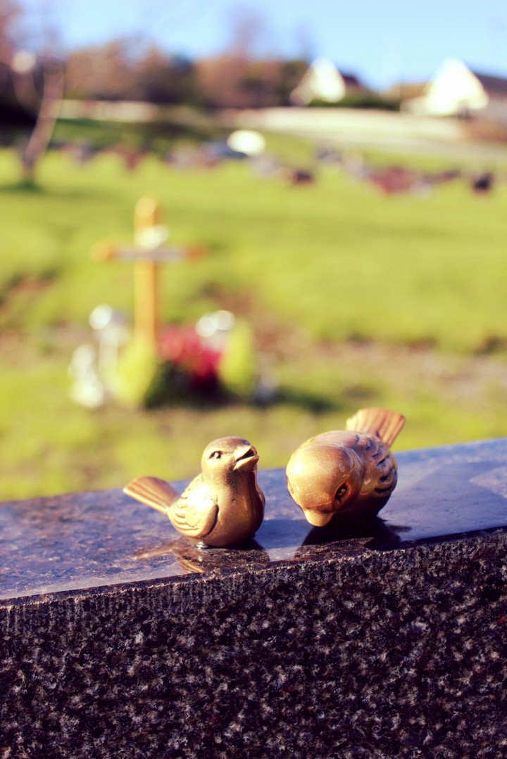 Cemetery Birds
