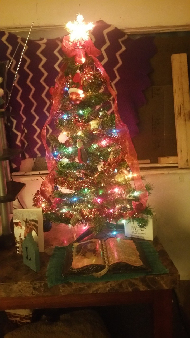 This was Mischief's first Christmas.