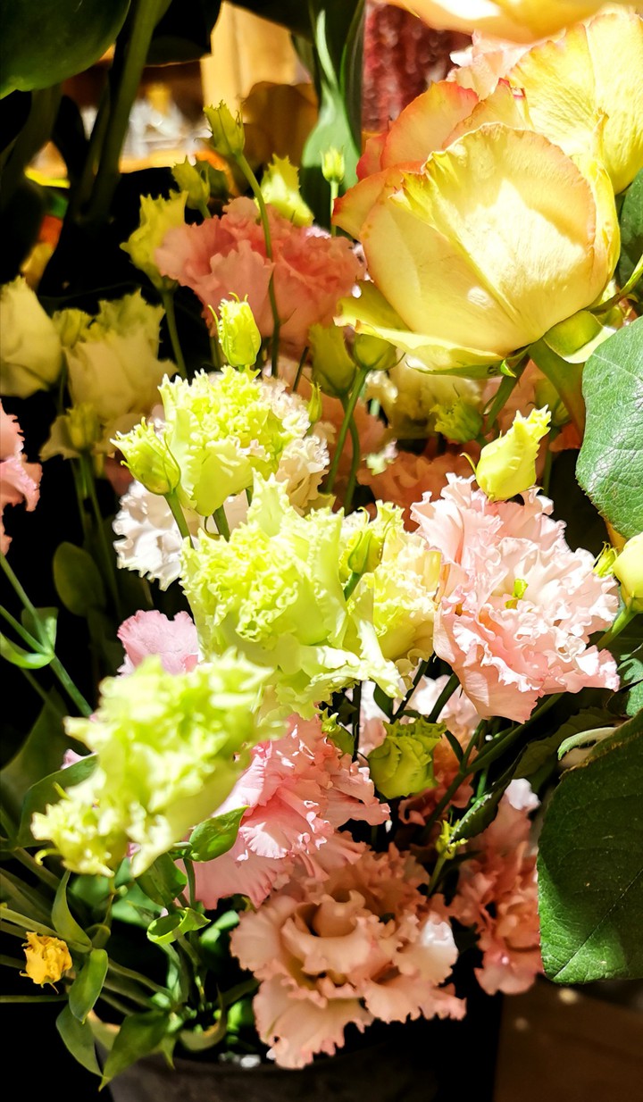 blumen flower