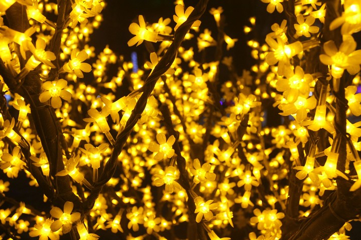 Floral lights