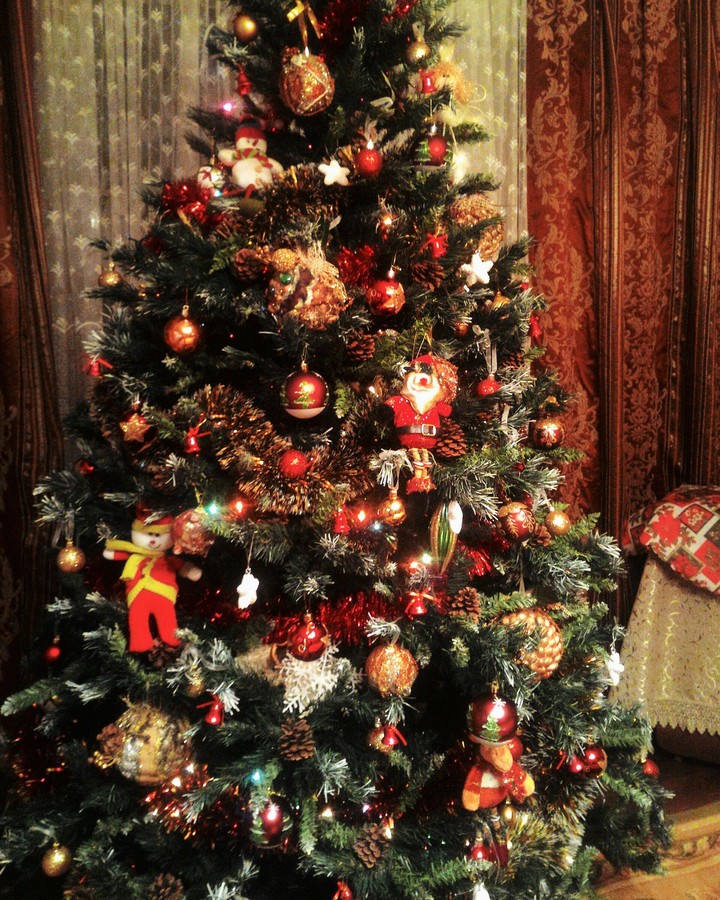 my christmas tree !!!