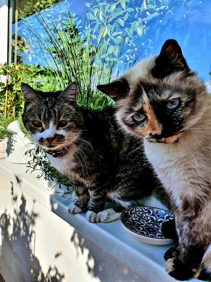 Food?
