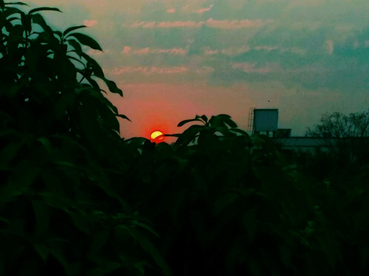 sunset
