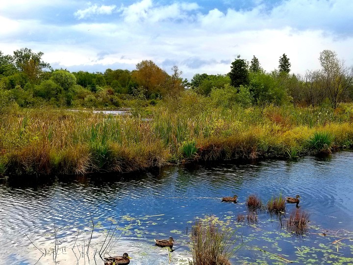 River view