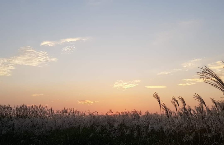 가을