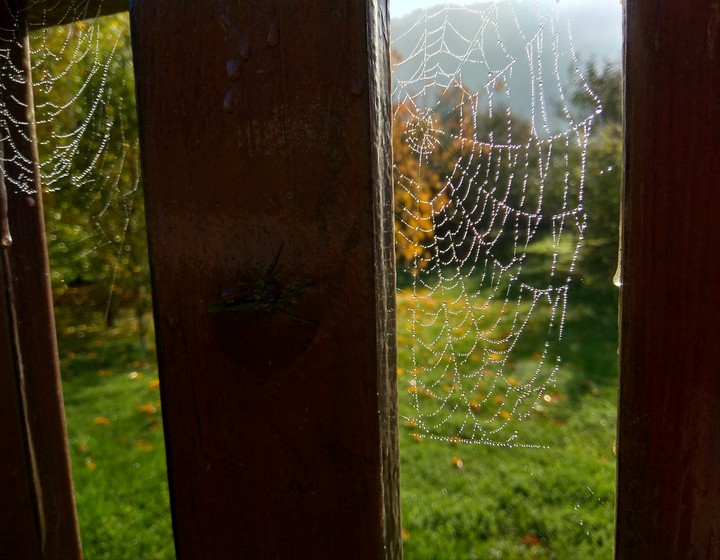 Autumn morning