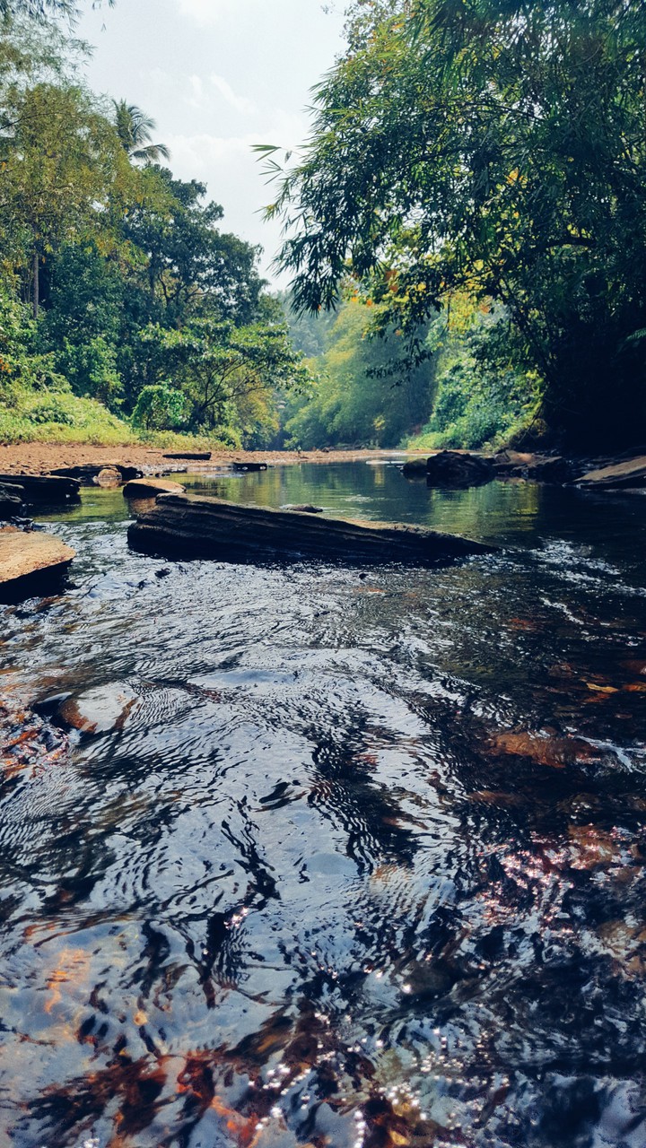 Relaxing Nature