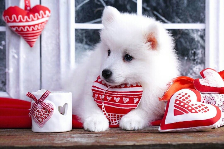 winter dag