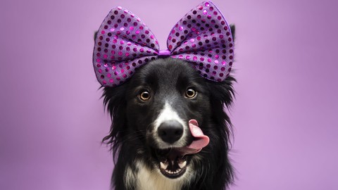 happiness, canidae háttérképek