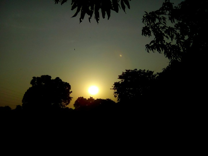 morning
