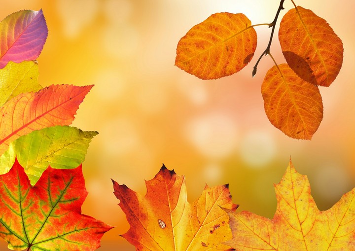 Autumn