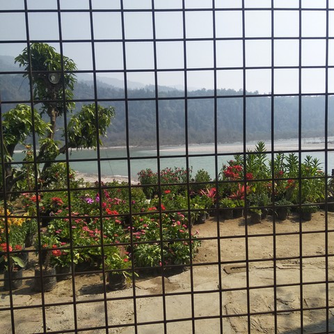 Rishikesh