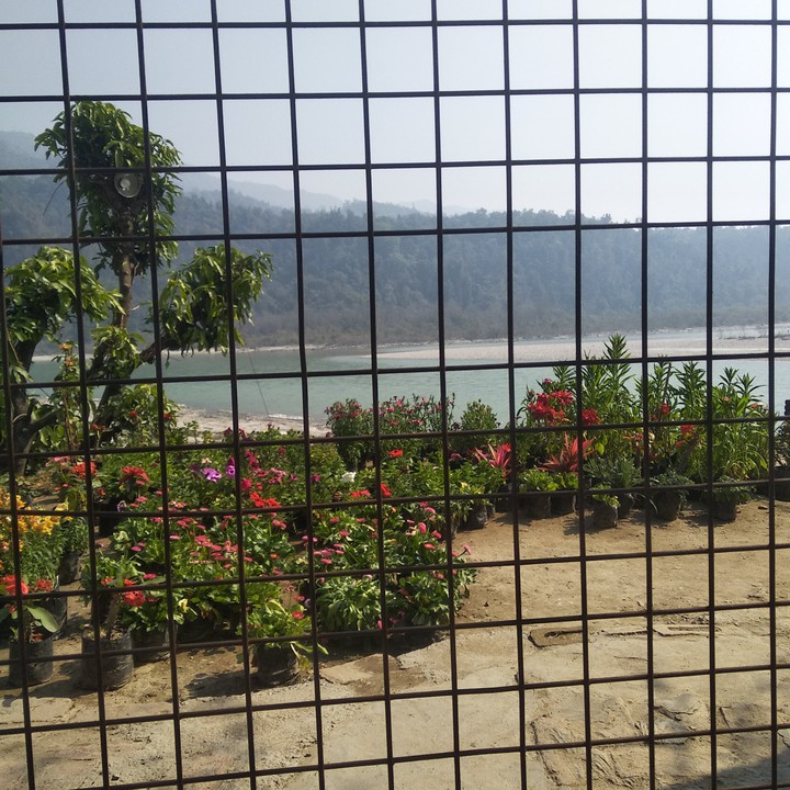 Rishikesh