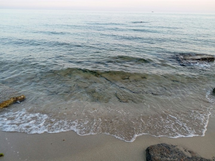 mar jonio