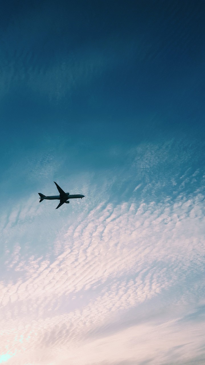 plane in sky