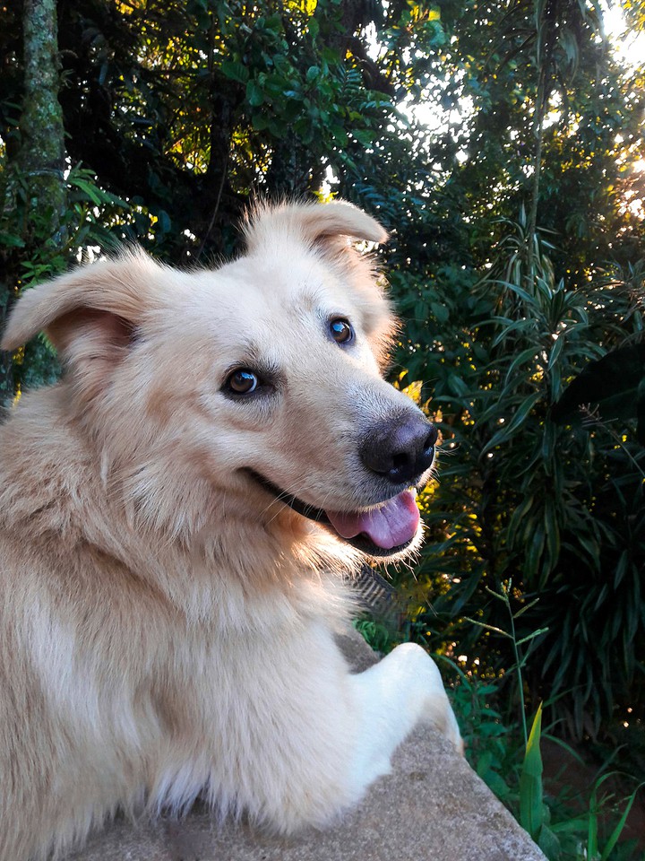 Thor ❤
