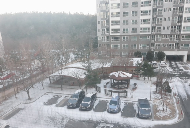 눈