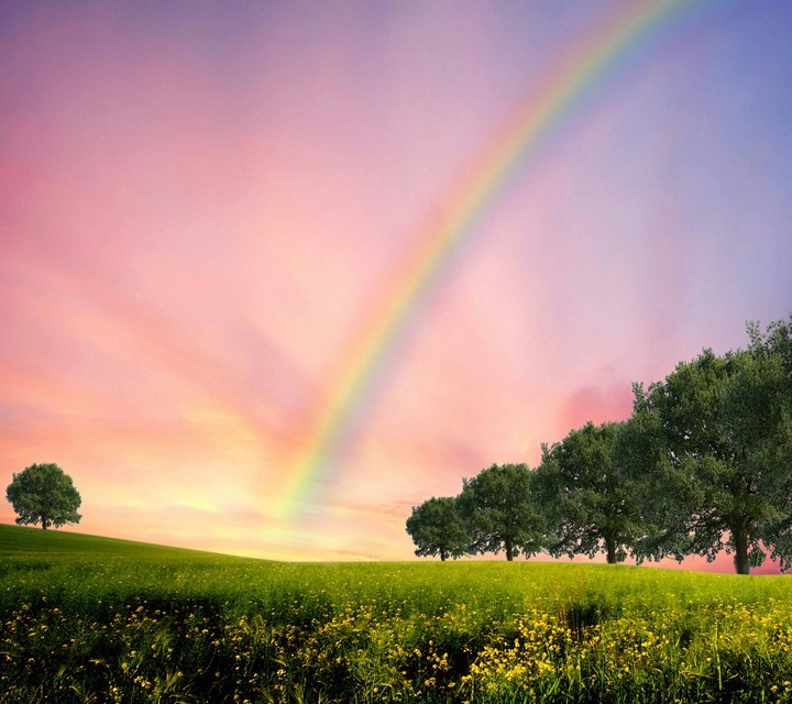 Rainbow