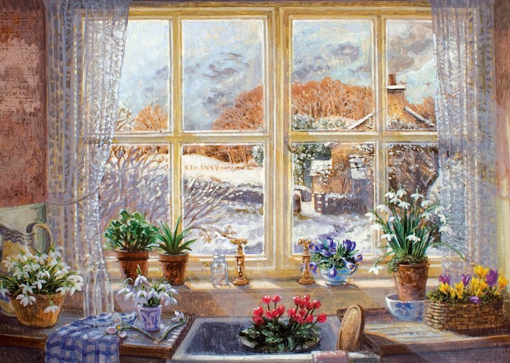 View from window