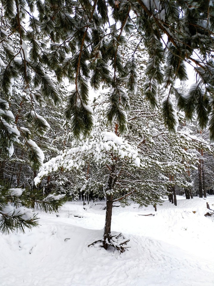 winter