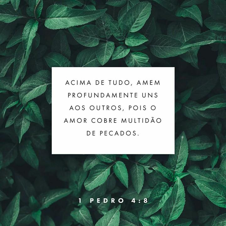 amor
