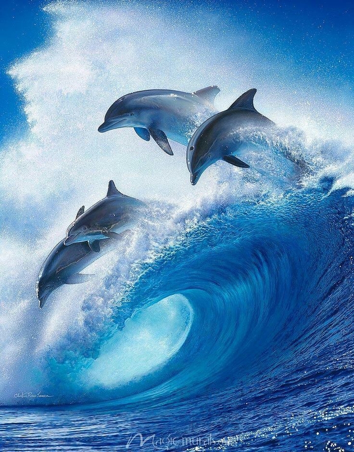 .
