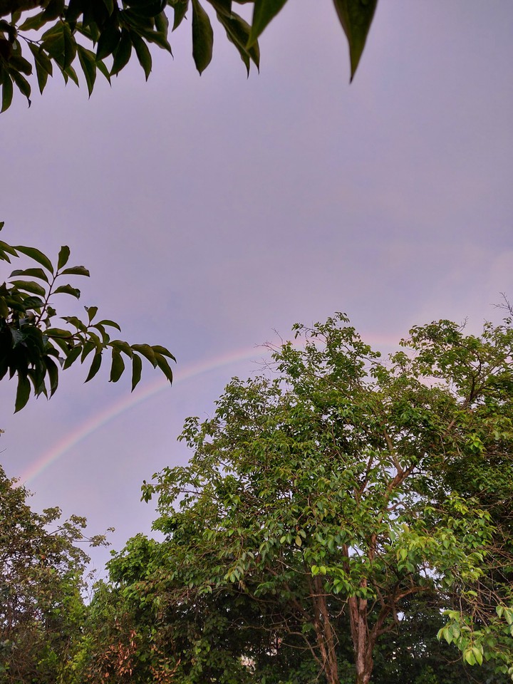 Nature