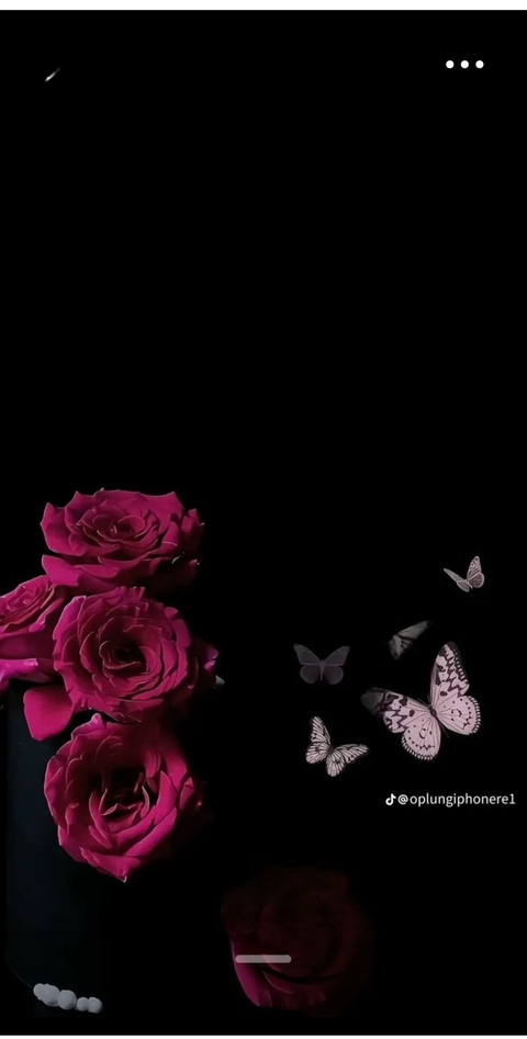 purple, pink Hintergrundbilder