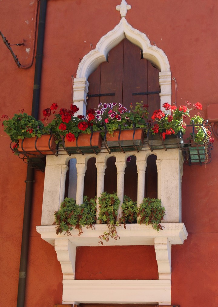 window