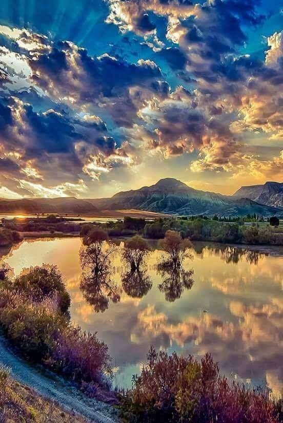 природа