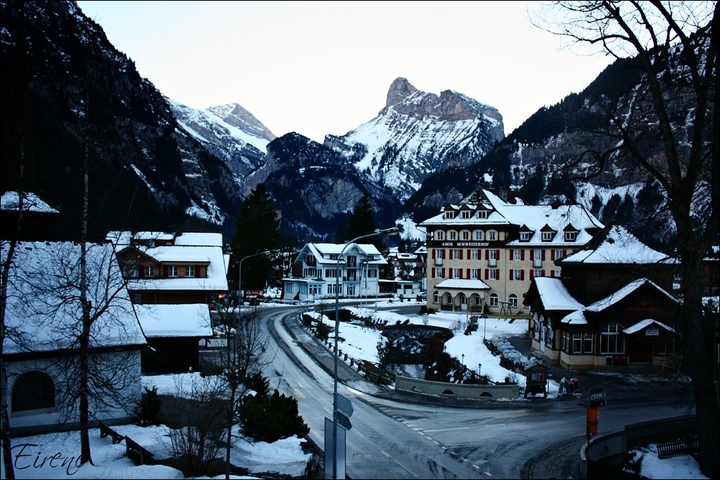 Cold Swiss