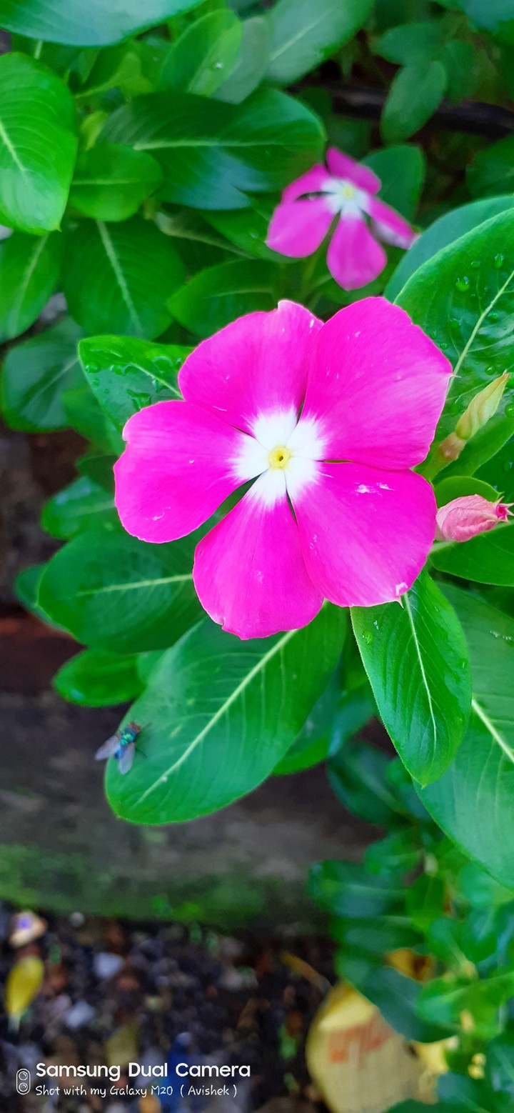 How is it