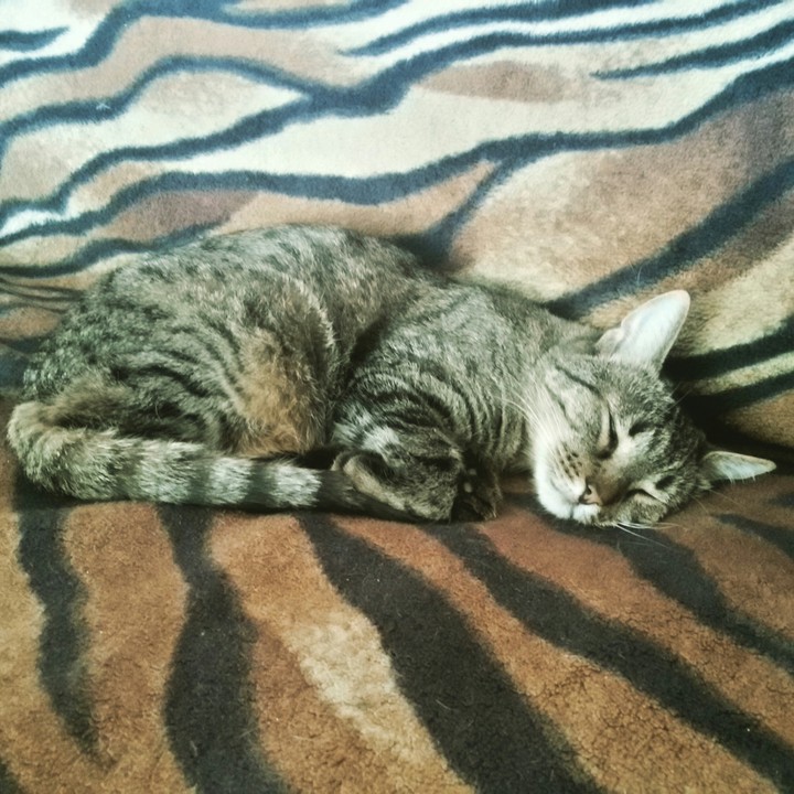 Time to nap