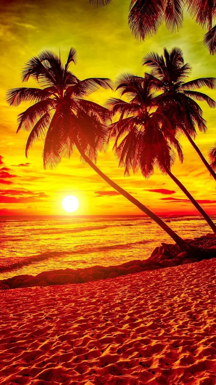 Evening