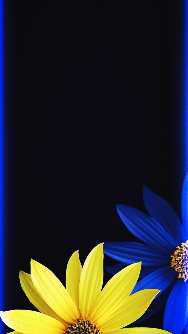 Bright & Bold