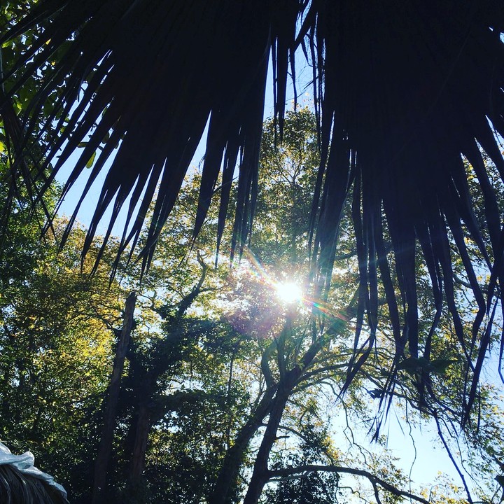 sun