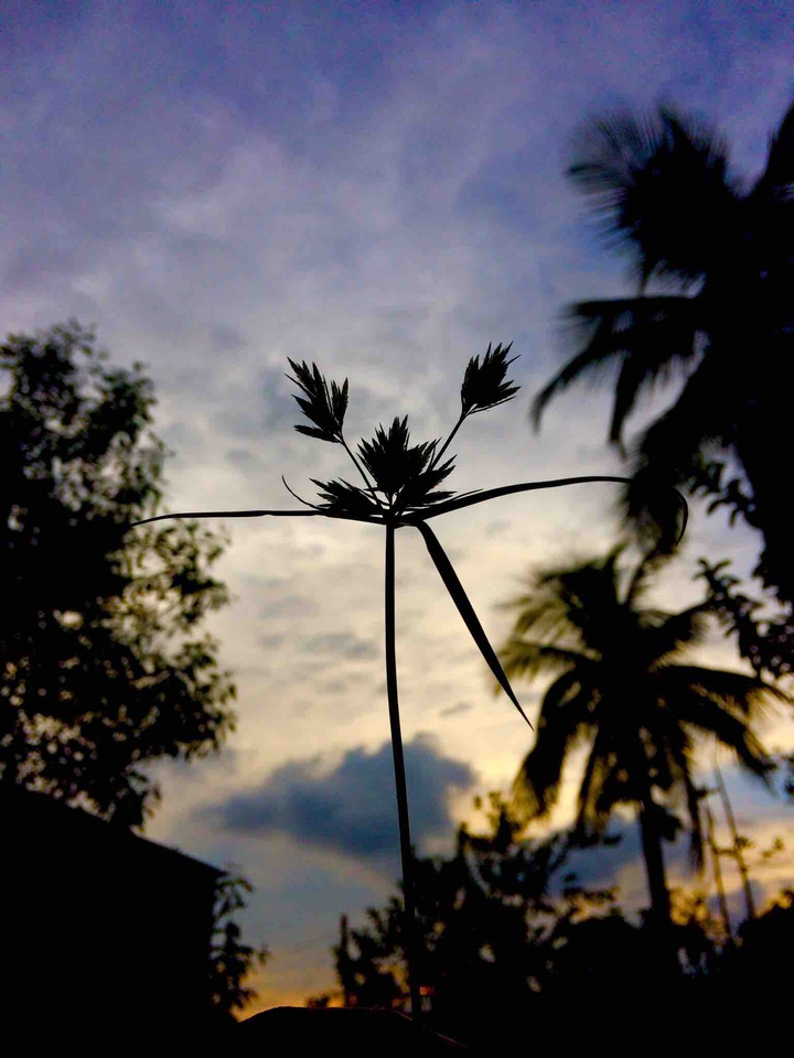 #evening